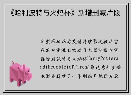 《哈利波特与火焰杯》新增删减片段